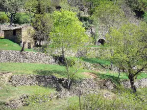 Monts d'Ardècheの地域自然公園 - 木々と乾燥した石造りのテラスに囲まれた小屋