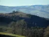 Monts du Lyonnais - Pâturage, arbres (forêt) et collines