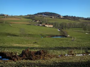 Monts du Lyonnais - Weilanden en huizen