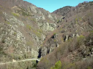 Montsd'Ardèche地区自然公园 - 小山路