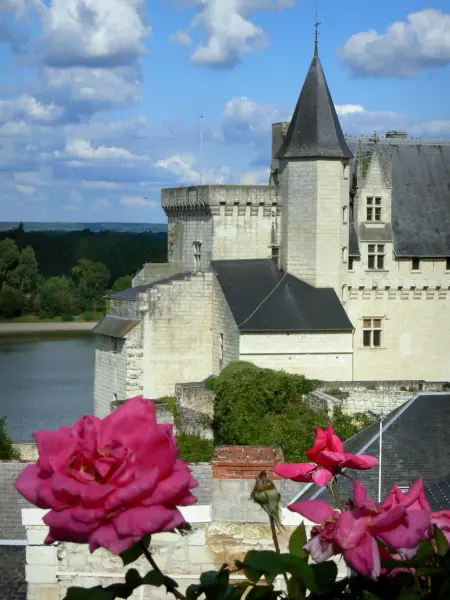 Montsoreau城堡 - 旅游、度假及周末游指南曼恩-卢瓦尔省
