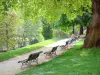 Montsouris公园 - 阴凉的小巷装饰着长椅