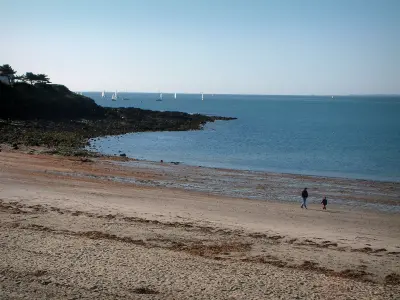 Morbihan Gulf 19 Quality High Definition Images