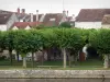 Moret-sur-Loing - Rivier de Loing, bank met bomen en versierd met banken, en daken van de middeleeuwse