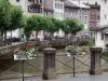 Morez - Corrimão decorado com flores, rio Bienne, alinhamento de árvores, casas e edifícios da cidade