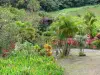 Le Morne-Rouge - Jardin fleuri de la plantation Beauvallon