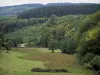 Morvan - Parc Naturel Régional du Morvan : prairie, arbres et forêt