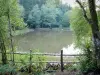 Morvan Regional Nature Park - Pond surrounded by trees, in the heart of the national forest of Saulieu
