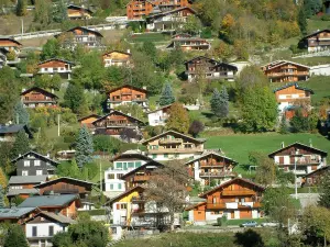 Morzine - Bomen en chalets in het dorp (wintersportplaats en in de zomer), in de Haut-Chablais