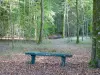 Guida della Mosa - Foresta dell'Argonne - Panchina tra gli alberi