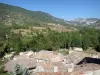 La Motte-Chalancon - Roanne-Tal, im Regionalen Naturpark Baronnies Provençales: Blick auf die Dächer des von Bäumen und Hügeln umgebenen Dorfes