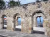 Le Moule - Ruines de Wisosky, ancien bâtiment de commerce