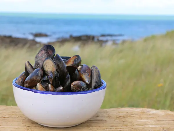 Les moules de bouchot de la baie du Mont-Saint-Michel - Guide gastronomie, vacances & week-end dans la Manche