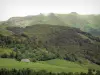 Mounts of Cantal - Parc Naturel Régional des Volcans d'Auvergne: overlooking the Plomb du Cantal, the highest point of the Cantal mountains, and the forest below