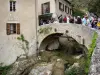 Moustiers-Sainte-Marie - Bridge spanning the torrent and houses of the village