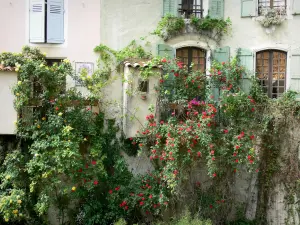 Moustiers-Sainte-Marie - Houses with roses (rosebushes)