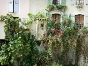 Moustiers-Sainte-Marie - Case decorate con rose (le rose)