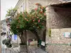 Moustiers-Sainte-Marie - Maison ornée de rosiers grimpants (roses)