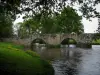 Moutier-d'Ahun - Ponte que atravessa o rio (Creuse), costa, flores silvestres e árvores