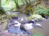 Murel瀑布 - 穿过森林的小河谷Valeine