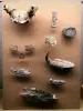 Musée d'Archéologie nationale de Saint Germain-en-Laye - Collection archéologique du musée