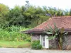 Musée de la Banane - Habitation Limbé, sur la commune de Sainte-Marie : vieille bâtisse abritant le musée de la Banane, et parc de la plantation bananière