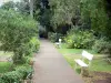 Musée de Villèle - Promenade dans le jardin agrémenté de bancs