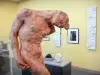 Museo Rodin - Exposición de esculturas en la capilla del museo