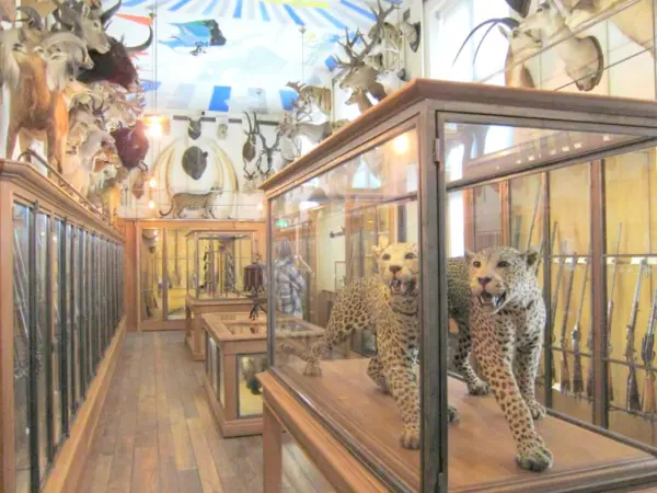 The Museum of Hunting and Nature - Tourism, holidays & weekends guide in Paris