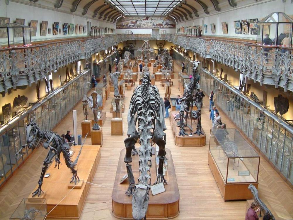 Photos Le muséum national d'histoire naturelle Guide Tourisme & Vacances