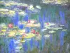 Museum van de Oranjerie - Details van Waterlelies door Claude Monet