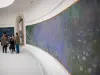 Museum van de Oranjerie - Waterlelies van Claude Monet