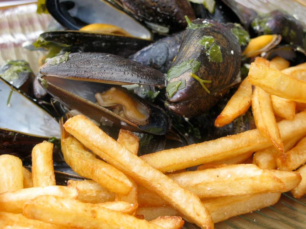 Photos Mussels and chips (moulesfrites) Gastronomy & Holidays guide