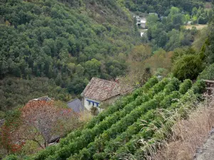 Najac - Vue sur la verdoyante vallée de l'Aveyron