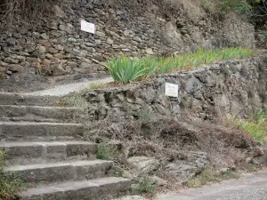 Najac - Rue du Château menant à la forteresse royale