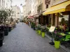 Nancy - Paved alley lined with restaurants
