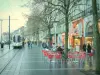 Nantes - Terrasse de café, arbres, boutiques, bâtiments et tramway
