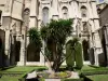 Narbonne - Giardino del chiostro e la cattedrale di Saint-Just-et-Saint-Pasteur