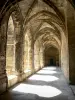 Narbonne - Galerie du cloître