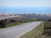 Narbonne-Plage - Strada fiancheggiata da vegetazione con vista sulla località e sul Mar Mediterraneo