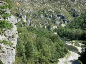 Nationaal Park van de Cevennen - Gorges van de Tarn: Tarn rivier omzoomd met bomen en rotswanden van de kloof