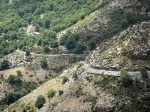 Nationalpark der Cevennen - Massiv der Cevennen: kleine Gebirgsstrasse