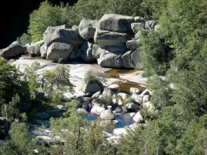 Nationalpark der Cevennen - Felsenchaos umgeben von Grün