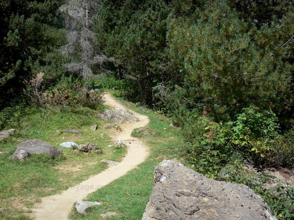 Nationalpark der Pyrenäen - Wanderpfad umgeben von Bäumen