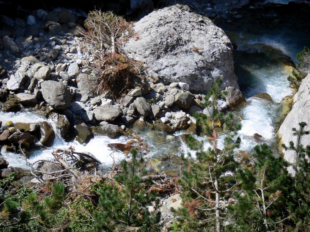 Nationalpark der Pyrenäen - Wildbach, Felsen, Steine und Tannenbäume