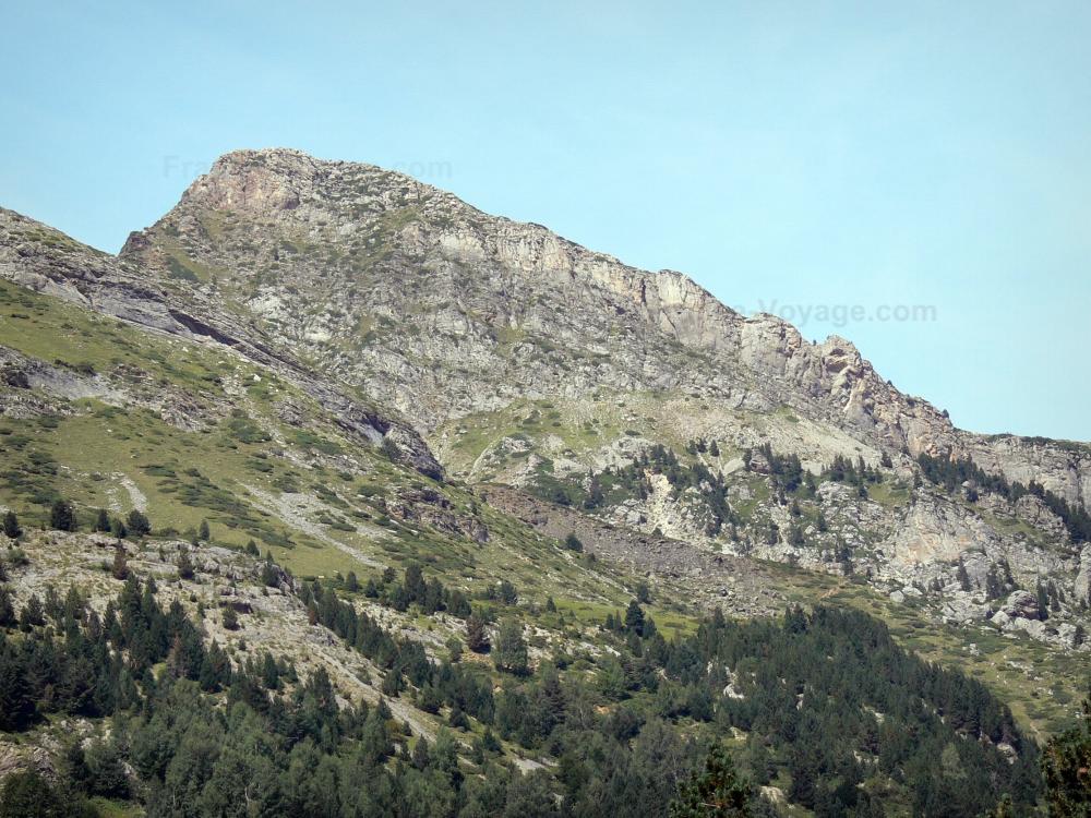 Nationalpark der Pyrenäen - Bergspitze und Tannenbäume