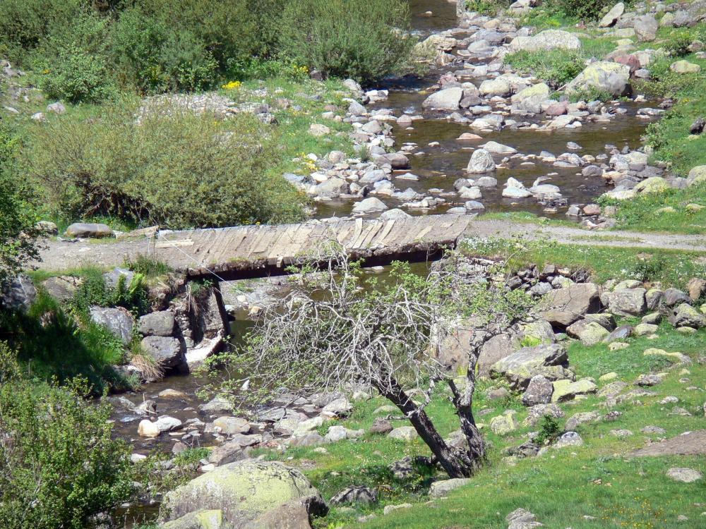 Nationalpark der Pyrenäen - Kleiner Steg über dem Gebirgsbach Bious