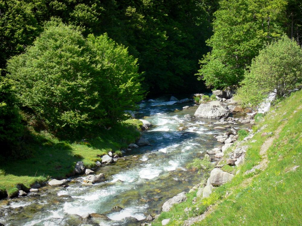 Nationalpark der Pyrenäen - Sturzbach Brousset und Bäume am Wasserufer