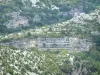 Navacelles cirque - Limestone cliffs and natural vegetation of the cirque