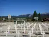 Nécropole de la Résistance de Vassieux-en-Vercors - Tombes du cimetière militaire de la Résistance